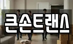 큰손트랜스