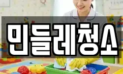 민들레청소
