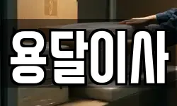 용달이사
