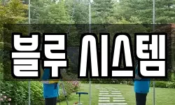 블루 시스템