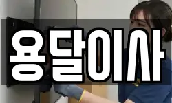 용달이사