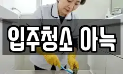 입주청소 아늑