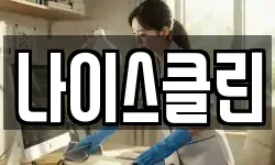 나이스클린