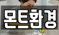 몬트환경