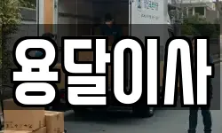 용달이사