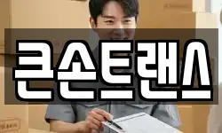 큰손트랜스