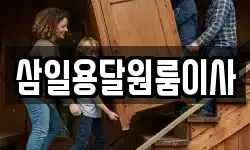삼일용달원룸이사