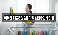에어컨 매트리스 소파 카펫 새로클린 청라점