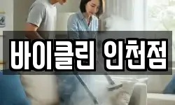 바이클린 인천점