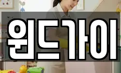 윈드가이
