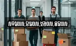 사무실이사,당일이사,보관이사,용달이사