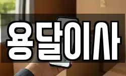 용달이사