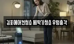 김포에어컨청소 세탁기청소 우렁총각