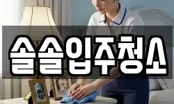 솔솔입주청소