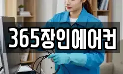 365장인에어컨