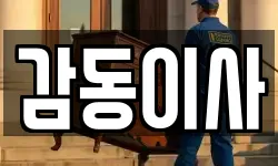 감동이사