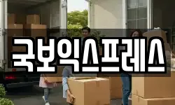 국보익스프레스