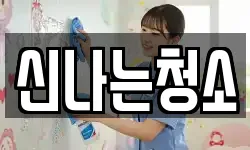신나는청소