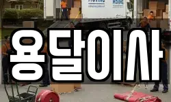 용달이사