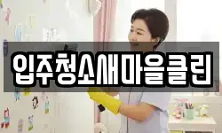 입주청소새마을클린