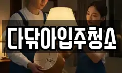 다닦아입주청소