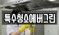 특수청소에버그린