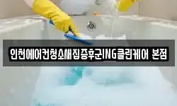 인천에어컨청소새집증후군ING클린케어 본점