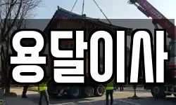 용달이사