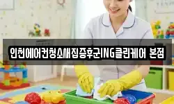 인천에어컨청소새집증후군ING클린케어 본점