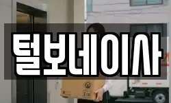 털보네이사