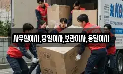 사무실이사,당일이사,보관이사,용달이사