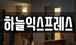 하늘익스프레스