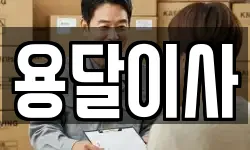 용달이사