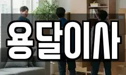 용달이사