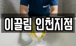 이끌림 인천지점