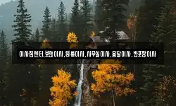 이사짐센터,보관이사,원룸이사,사무실이사,용달이사,반포장이사