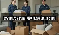 용달이사,반포장이사,1톤이사,원룸이사,보관이사