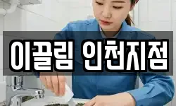 이끌림 인천지점