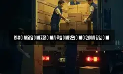 원룸이사용달이사포장이사사무실이사보관이사야간이사당일이사