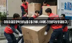 이사자재포장박스비닐플로플라베니아매트리스바닥보양재바구니