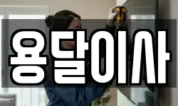 용달이사