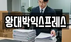 왕대박익스프레스