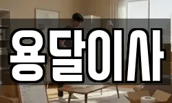 용달이사
