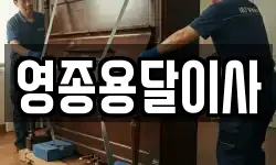 영종용달이사