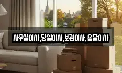 사무실이사,당일이사,보관이사,용달이사