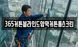 365커튼블라인드암막커튼롤스크린