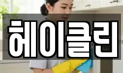 헤이클린