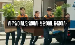 사무실이사,당일이사,보관이사,용달이사