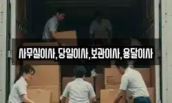 사무실이사,당일이사,보관이사,용달이사