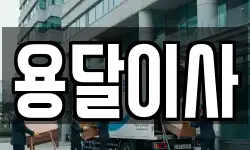 용달이사